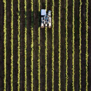 Agriculture