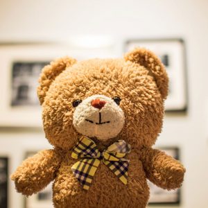 Plush Toys
