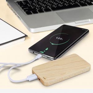 Power Banks