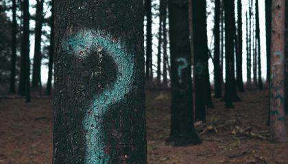 Unlocking the why behind the buy